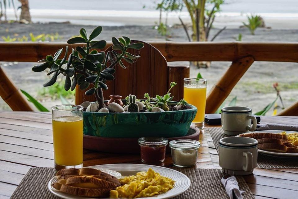 Seaside Garden Ecolodge Mompiche Εξωτερικό φωτογραφία