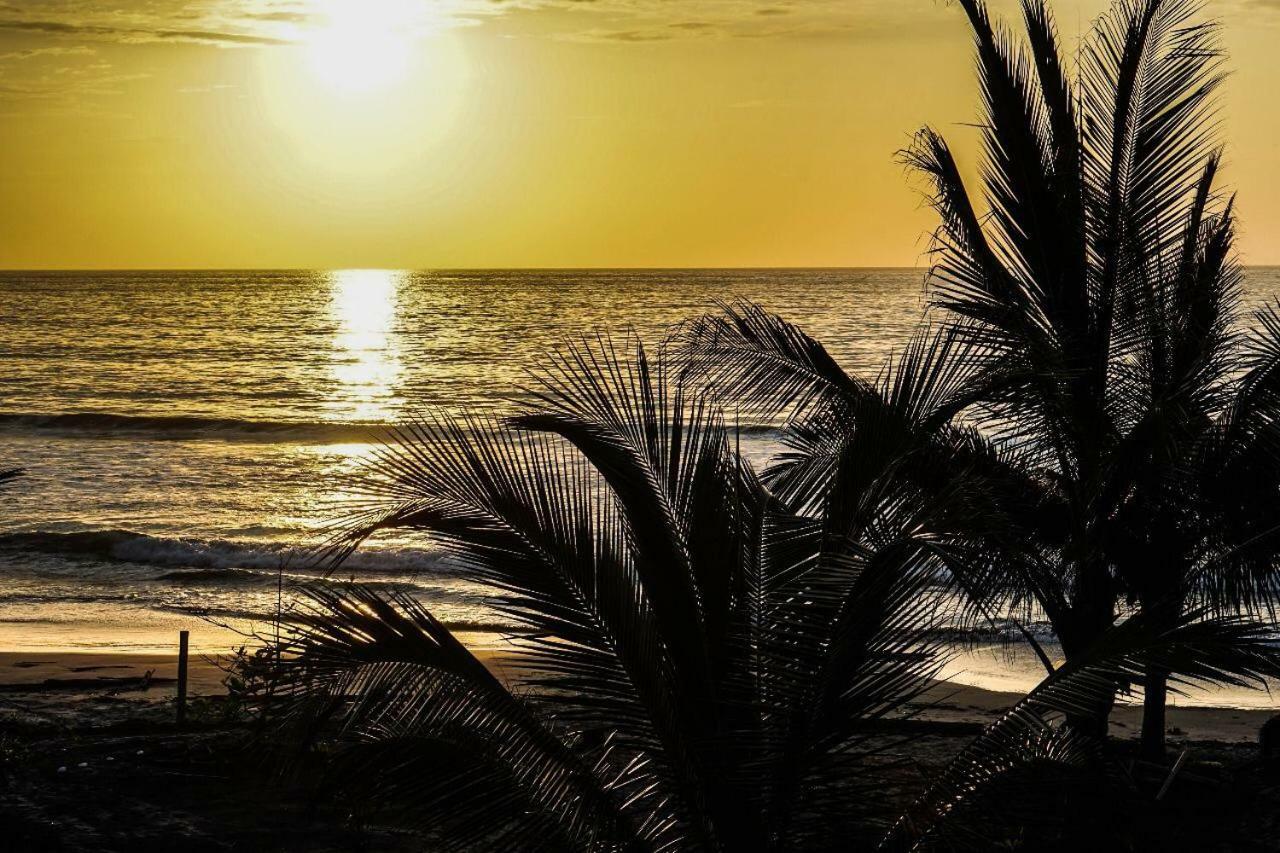 Seaside Garden Ecolodge Mompiche Εξωτερικό φωτογραφία